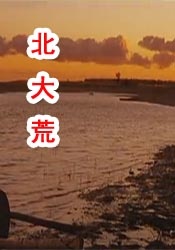 国产婷婷综合av